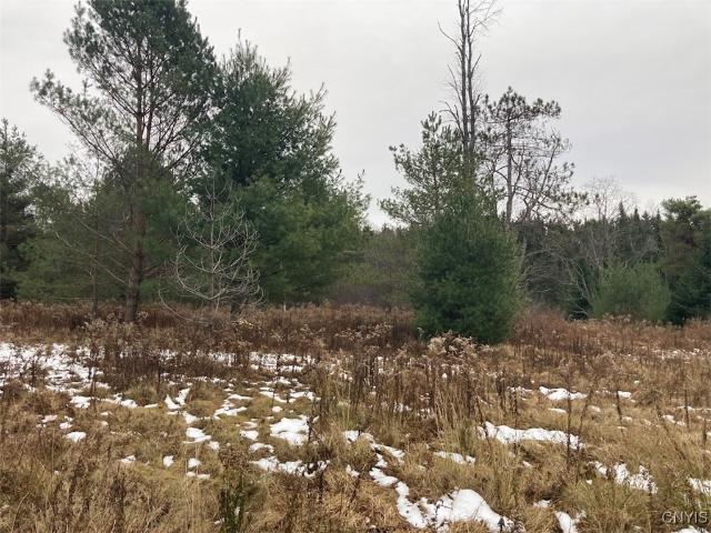 Property for sale in Cold Brook, New York