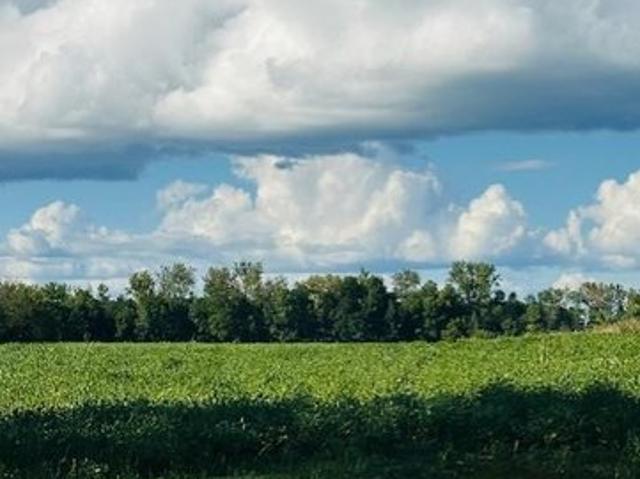 Land for sale in Rush City, Minnesota