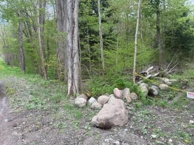 Land for sale in Newark, New York