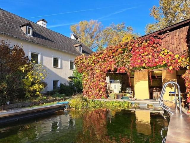 Haus kaufen in Traiskirchen, Niederösterreich