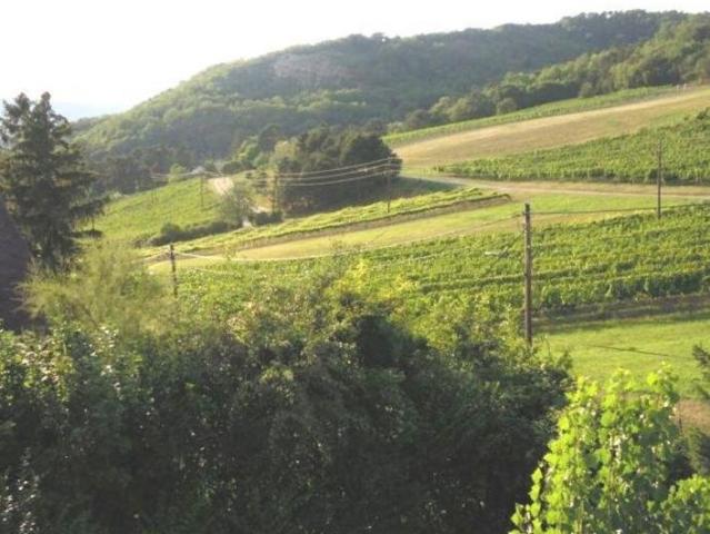 Haus mieten in Langenzersdorf, Niederösterreich