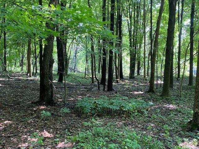 Land for sale in Howell, Marion Township