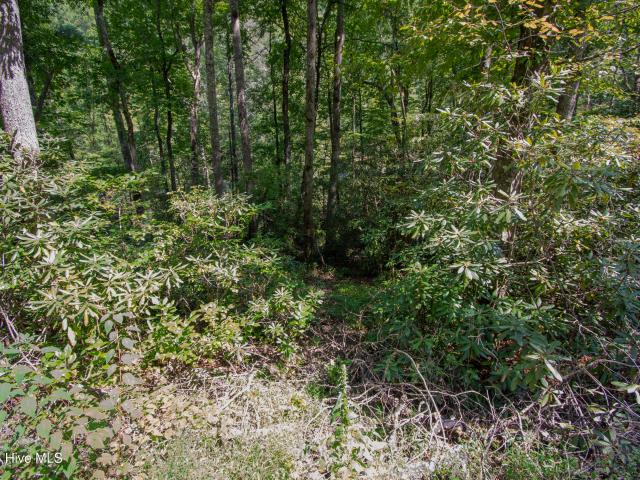Land for sale in Graham, North Carolina