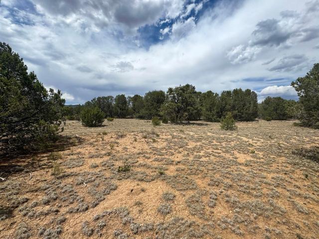 Land for sale in Edgewood, New Mexico