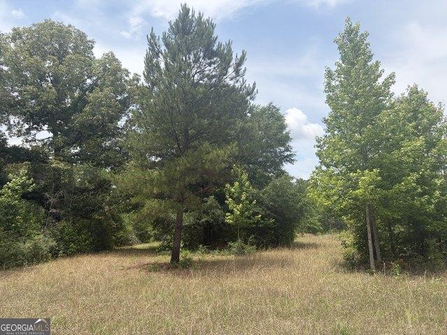 Land for sale in Davisboro, Georgia