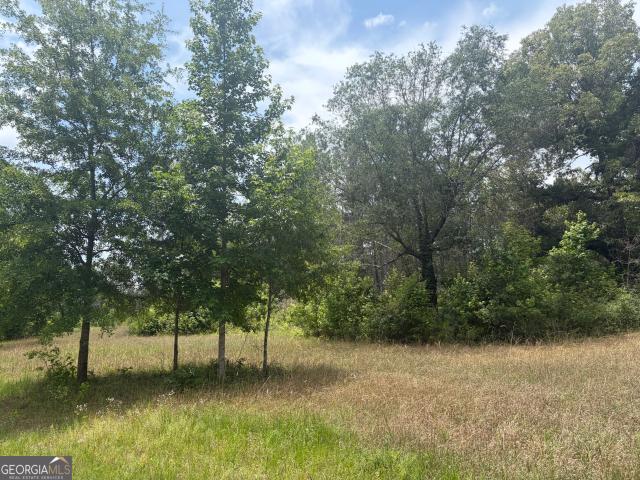 Land for sale in Davisboro, Georgia