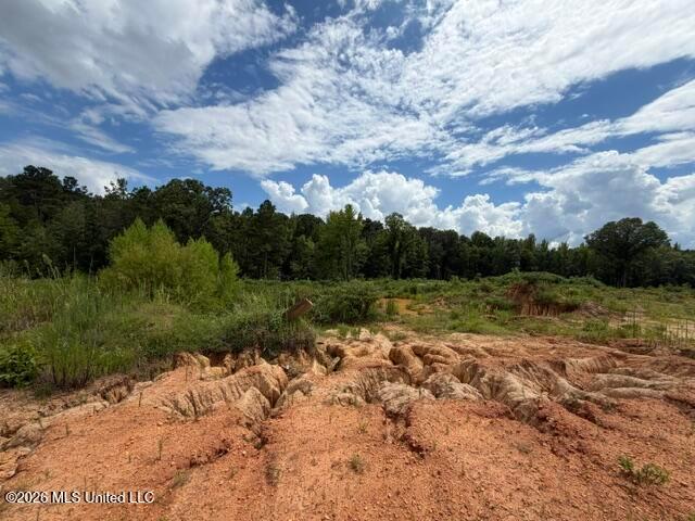 Land for sale in Byhalia, Mississippi