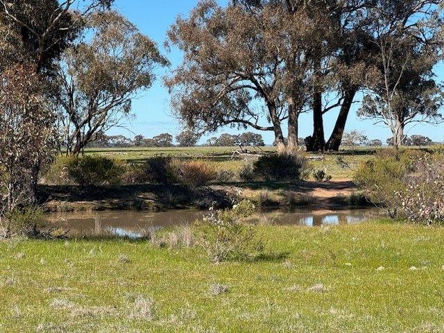Land for sale in Wedderburn, Victoria