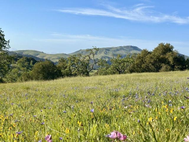 Land for sale in Carmel-by-the-Sea, Monterey County