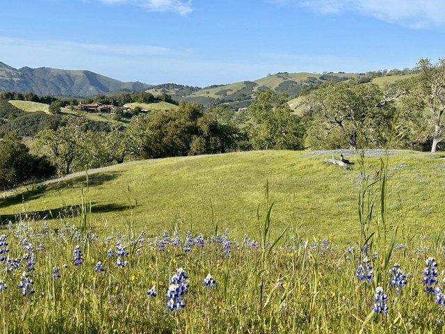 Land for sale in Carmel-by-the-Sea, Monterey County