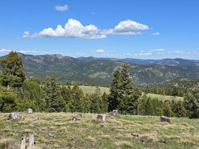 Land for sale in Granite, Montana