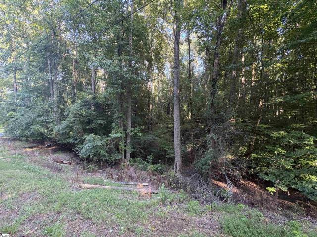 Land for sale in Ware Shoals, Abbeville County