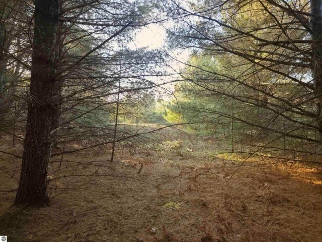 Land for sale in Green Lake Township, Grand Traverse County