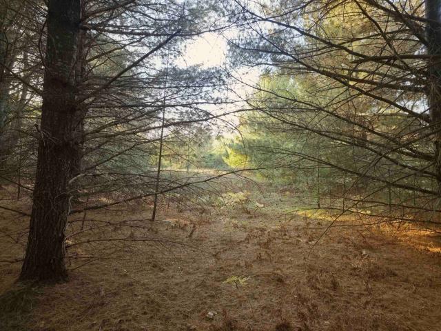 Land for sale in Green Lake Township, Grand Traverse County