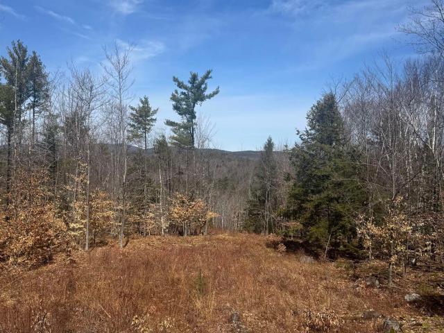 Land for sale in New Hampshire