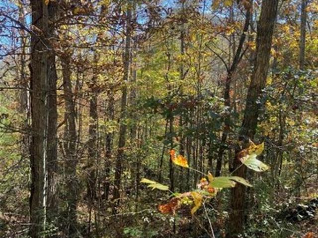Land for sale in Tuckasegee, North Carolina