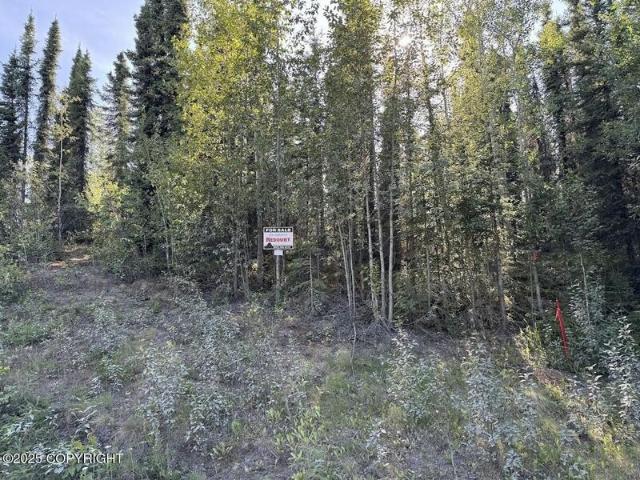 Land for sale in Soldotna