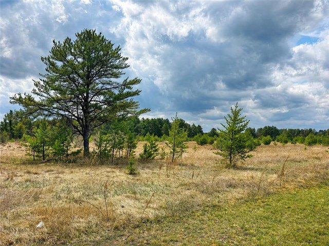 Land for sale in Hubbard, Minnesota
