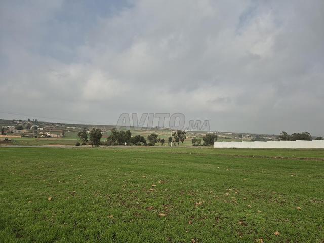 Propriété vente à El Ma, Gharb-Chrarda-Beni Hssen