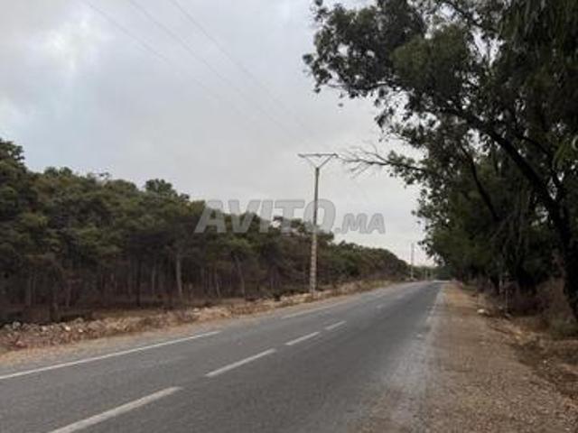 Propriété vente à El Ma, Gharb-Chrarda-Beni Hssen