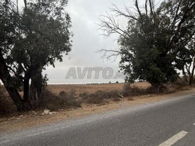 Propriété vente à El Ma, Gharb-Chrarda-Beni Hssen
