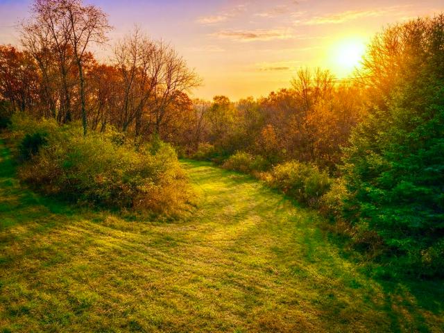 Land for sale in Savanna, Illinois