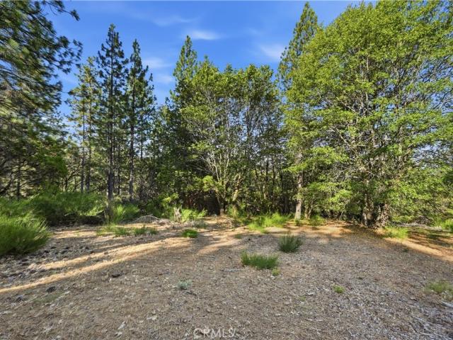 Land for sale in Lake, California