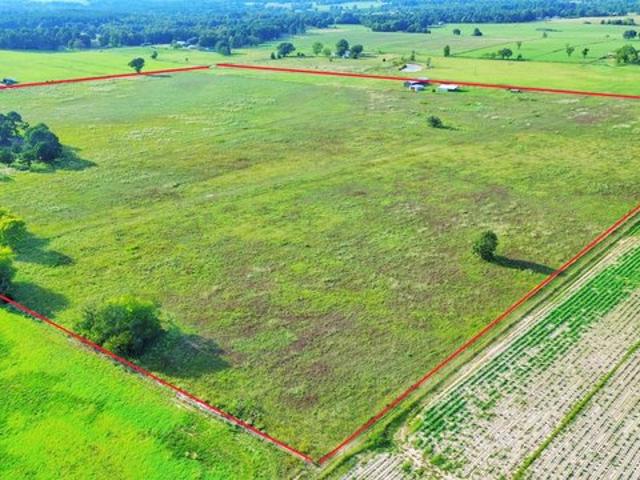 Farm for sale in Grapeland, Houston County