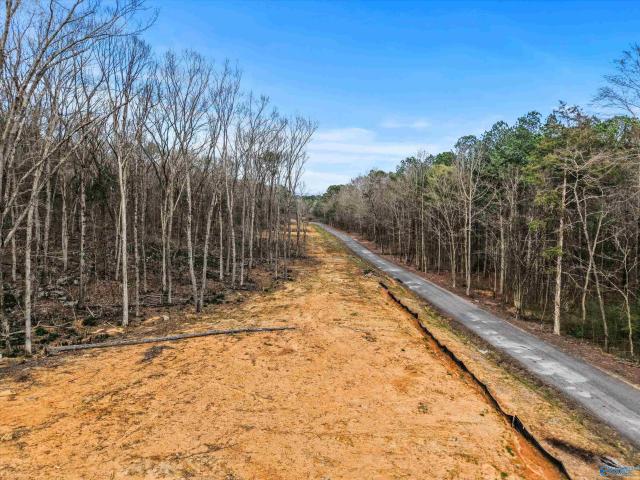 Land for sale in Scottsboro, Alabama