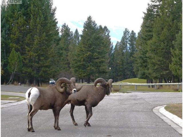 Townhouse for sale in Radium Hot Springs, British Columbia