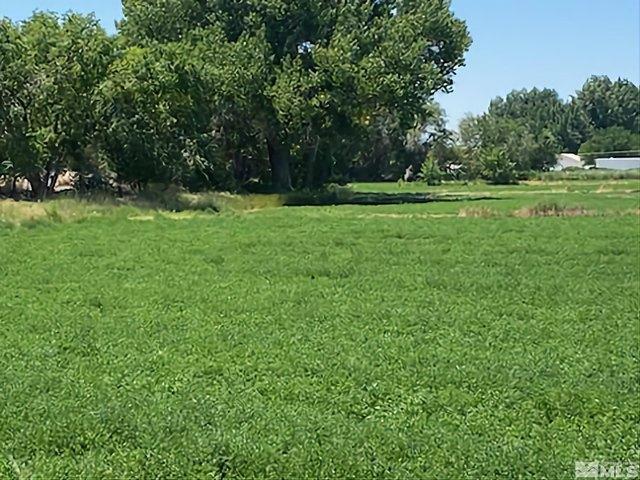 Land for sale in Fallon, Nevada