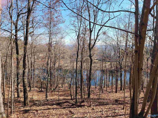 Land for sale in Mentone, Alabama