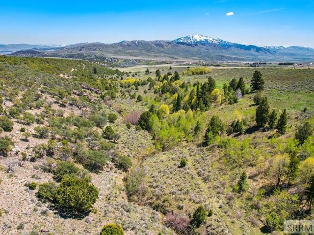 Land for sale in Downey, Idaho
