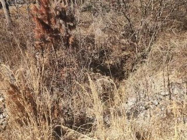 Land for sale in Buford, Georgia