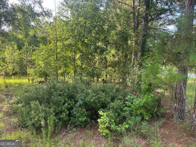 Land for sale in Sardis, Georgia