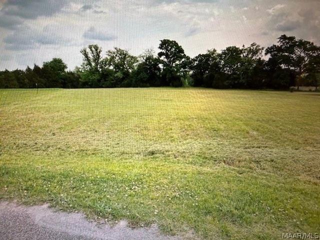 Land for sale in Cecil, Alabama