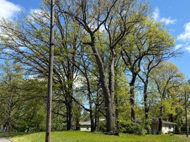 Land for sale in Morrison, Minnesota