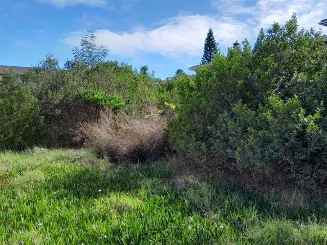 Land for sale in Groot Brak Rivier, Western Cape