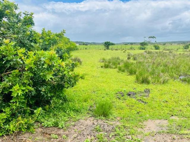 Land for sale in UMhlathuze Municipality, Kwazulu-natal