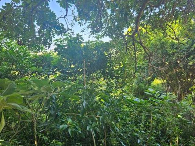 Land for sale in Princess Grant, Kwazulu-natal