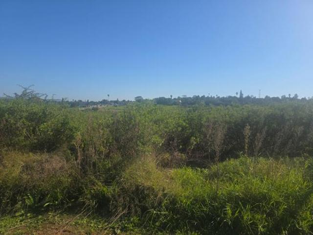 Land for sale in Eastern Cape