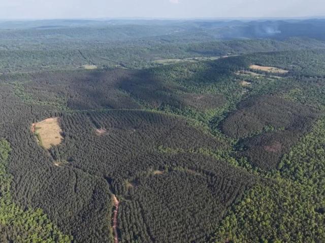 Land for sale in Blount, Alabama