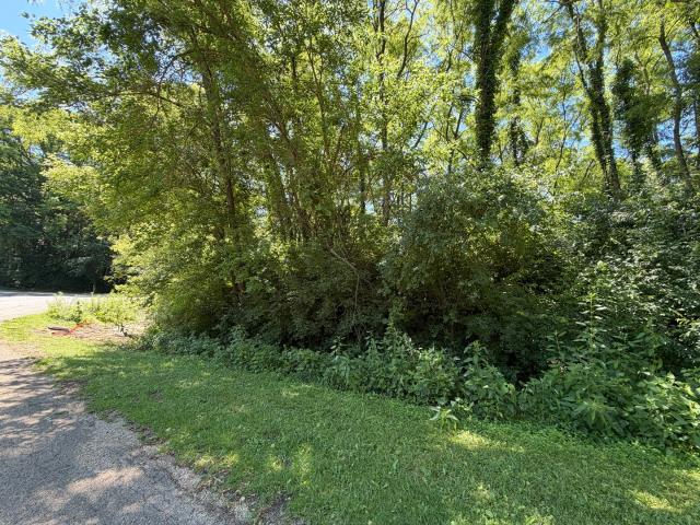 Land for sale in Dixon, Illinois