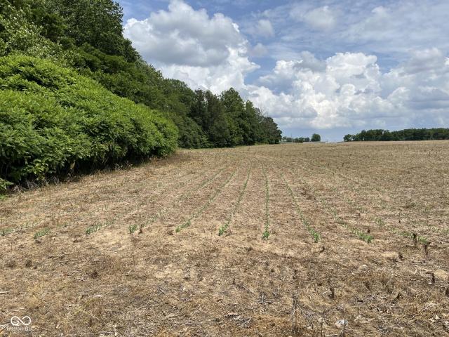 Land for sale in Brownstown, Indiana