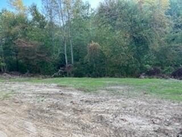 Land for sale in Blaine, Kentucky