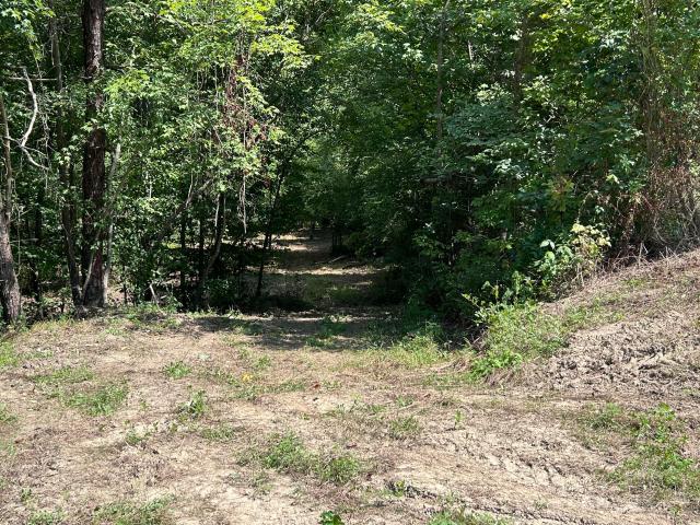 Land for sale in Blaine, Kentucky