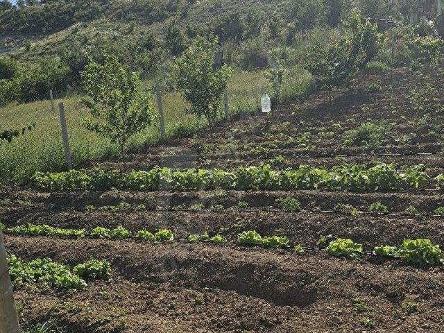 Ayaş, Ankara içerisinde satılık Arsa