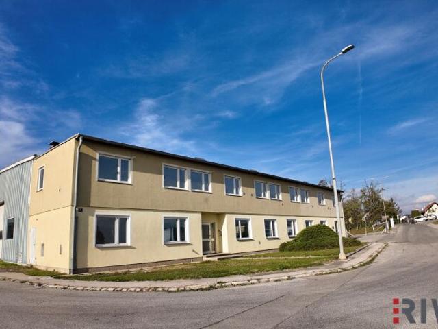 Industrie mieten in Groß-Enzersdorf, Niederösterreich