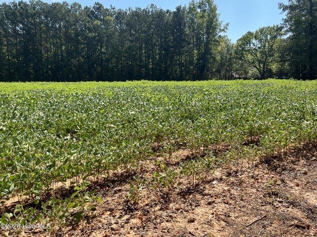 Land for sale in Spring Hope, Nash County