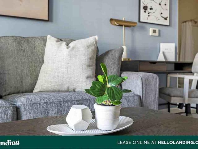 Apartment for rent in Charlotte, Mecklenburg County
